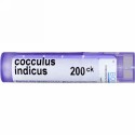 Boiron, Single Remedies, Cocculus Indicus（コカラス インディカス）、200CK、約80ペレット (Discontinued Item)