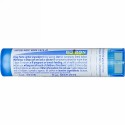Boiron, Single Remedies, Crudaコーヒーの木, 6C, 約 80 粒 (Discontinued Item)