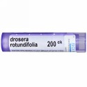 Boiron, Single Remedies, Drosera Rotundifolia（ドロセラ ロタンディフォリア）、200CK、約80ペレット (Discontinued Item)