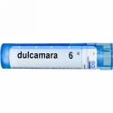 Boiron, Single Remedies, Dulcamara, 6C, 約 80 粒 (Discontinued Item)