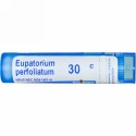 Boiron, Single Remedies, Eupatorium Perfoliatum（ヨーパトリアム パフォーリアタム）、30C、約80ペレット (Discontinued Item)