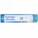 Boiron, Single Remedies, Euphrasia Officinalis、30C、80 粒