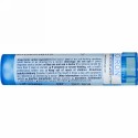 Boiron, Single Remedies, ユーフラシア・オフィシナリス, 6C, 約 80 粒 (Discontinued Item)