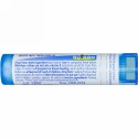 Boiron, Single Remedies, 黒鉛, 30C, 80粒 (Discontinued Item)