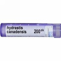 Boiron, Single Remedies, Hydrastis Canadensis（ヒドラスチス カナデンシス）、200CK、約80ペレット (Discontinued Item)
