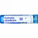 Boiron, Single Remedies, ヒドラスチス、30C、約80粒 (Discontinued Item)