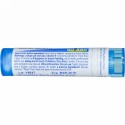 Boiron, Single Remedies, イグナシアアマラ, 6C, 約 80 粒 (Discontinued Item)