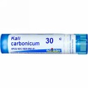 Boiron, Single Remedies, Kali Carbonicum（カーリー カーボニカム）、30C、約80ペレット (Discontinued Item)