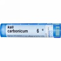 Boiron, Single Remedies, Kali Carbonicum, 6C, 80 Pellets (Discontinued Item)