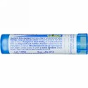 Boiron, Single Remedies, Kali Iodatum, 30C, 80 粒 (Discontinued Item)