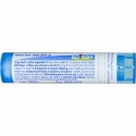 Boiron, Single Remedies, Kali Muriaticum, 6C, 約 80 粒 (Discontinued Item)