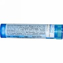 Boiron, Single Remedies, Kali Sulphuricum, 6C, 80 Pellets (Discontinued Item)