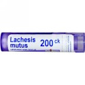 Boiron, Single Remedies, Lachesis Mutus（ラケシス ミュータス）、200CK、約80ペレット (Discontinued Item)