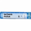 Boiron, Single Remedies, Lachesis Mutus（ラケシス ミュータス）、6C、約80ペレット (Discontinued Item)