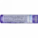 Boiron, Single Remedies, Ledum Palustre（レダム パルストレ）、200CK、約80ペレット
