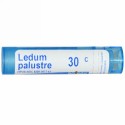 Boiron, Single Remedies, Ledum Palustre、30C、 80 粒