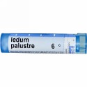 Boiron, Single Remedies, Ledum Palustre, 6C, 80 Pellets (Discontinued Item)