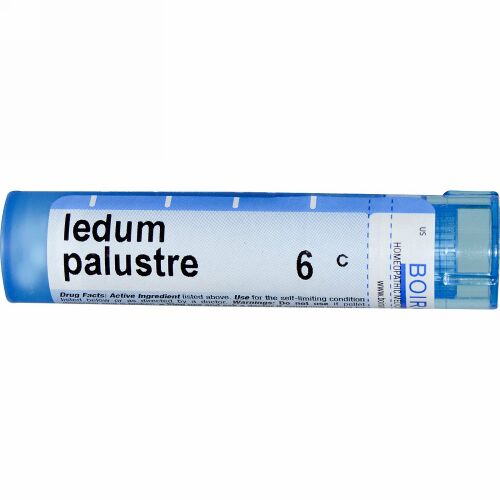 Boiron, Single Remedies, Ledum Palustre, 6C, 80 Pellets (Discontinued Item)