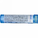 Boiron, Single Remedies, Ledum Palustre, 6C, 80 Pellets (Discontinued Item)
