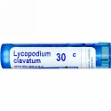 Boiron, Single Remedies, Lycopodium Clavatum, 30C, 約 80 粒