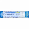 Boiron, Single Remedies, ヒカゲノカズラ, 6C, 約 80 粒 (Discontinued Item)