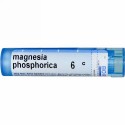 Boiron, Single Remedies, Magnesia Phosphorica, 6C, 約 80 粒 (Discontinued Item)