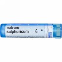 Boiron, Single Remedies, Natrum Sulphuricum, 6C, 約 80 粒 (Discontinued Item)