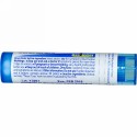 Boiron, Single Remedies, Nux Vomica, 30C, 約 80 粒