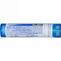 Boiron, Single Remedies, ペトローリアム, 6C, 約 80 粒 (Discontinued Item)