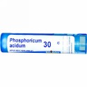 Boiron, Single Remedies, Phosphoricum Acidum, 30C, 約 80 粒 (Discontinued Item)