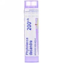 Boiron, Single Remedies, Phytolacca Decandra（ファイトラカ デキャンドラ）、200CK、約80ペレット (Discontinued Item)