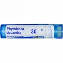 Boiron, Single Remedies, Phytolacca Decandra（ファイトラカ デキャンドラ）、30C、約80ペレット (Discontinued Item)