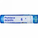 Boiron, Single Remedies, Phytolacca Decandra, 6C, 約 80 粒 (Discontinued Item)