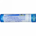 Boiron, Single Remedies, Phytolacca Decandra, 6C, 約 80 粒 (Discontinued Item)