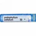 Boiron, Single Remedies, Podophyllum Peltatum（ポドフィラム ペルタタム）、30C、約80ペレット (Discontinued Item)