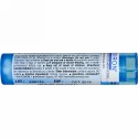 Boiron, Single Remedies, Podophyllum Peltatum（ポドフィラム ペルタタム）、30C、約80ペレット (Discontinued Item)