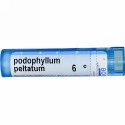 Boiron, Single Remedies, Podophyllum Peltatum（ポドフィラム ペルタタム）、6C、約80ペレット (Discontinued Item)