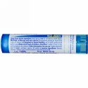 Boiron, Single Remedies, オキナグサ, 6C, 約 80 粒 (Discontinued Item)