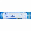 Boiron, Single Remedies, Rhus Toxicodendron（ラス トクシコデンドロン）、6C、約80ペレット (Discontinued Item)