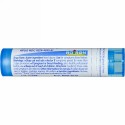 Boiron, Single Remedies, Rhus Toxicodendron（ラス トクシコデンドロン）、6C、約80ペレット (Discontinued Item)