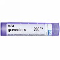 Boiron, Single Remedies, Ruta Graveolens, 200CK, 約 80 粒 (Discontinued Item)