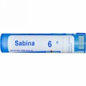 Boiron, Single Remedies, Sabina（サビナ）、6C、約80ペレット (Discontinued Item)