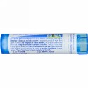Boiron, Single Remedies, セピア, 6C, 約 80 粒 (Discontinued Item)