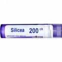 Boiron, Single Remedies, Silicea（シリシア）、200CK、約80ペレット