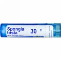 Boiron, Single Remedies, Spongia Tosta（スポンギア トスタ）、30C、約80ペレット (Discontinued Item)