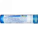 Boiron, Single Remedies, Staphysagria, 6C, 約 80 粒 (Discontinued Item)