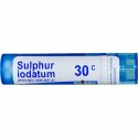 Boiron, Single Remedies, Sulphur Iodatum（サルファ ロダタム）、30C、約80ペレット (Discontinued Item)