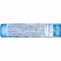Boiron, Single Remedies, Sulphur Iodatum（サルファ ロダタム）、6C、約80ペレット (Discontinued Item)