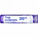 Boiron, Single Remedies, Thuja Occidentalis（ツジャ オシデンタリス）、200CK、約80ペレット