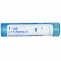 Boiron, Single Remedies, Thuja Occidentalis、6C、80 粒 (Discontinued Item)